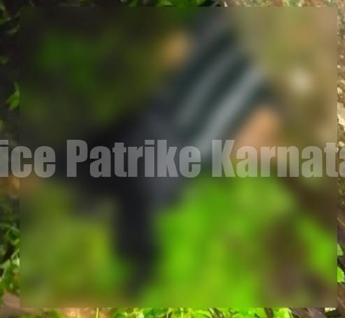 ಉಡುಪಿ : ತೋಡಿಗೆ ಬಿದ್ದು ವ್ಯಕ್ತಿ ಸಾವು..!