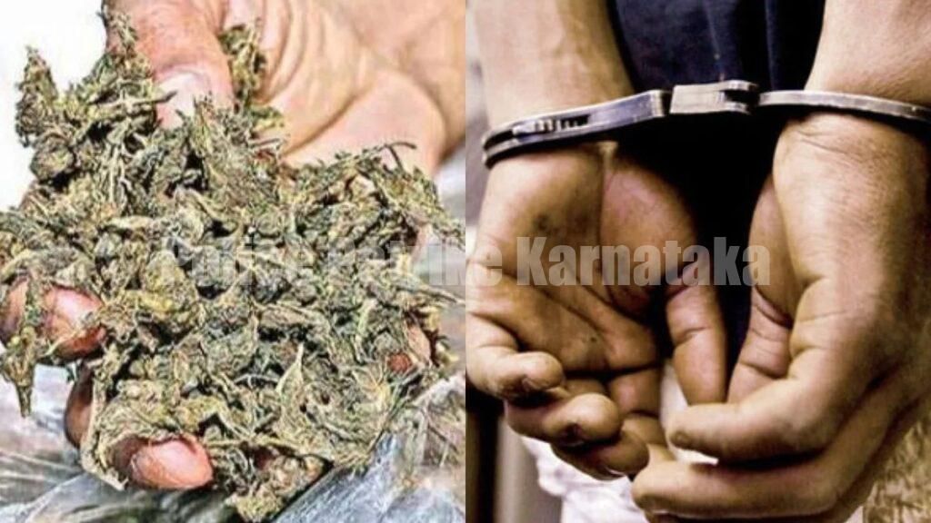 ಅಕ್ರಮವಾಗಿ ಶೇಖರಿಸಿಟ್ಟ ಗಾಂಜಾ ವಶಪಡಿಸಿಕೊಂಡ ಪೊಲೀಸರು: ಆರೋಪಿ ಪರಾರಿ