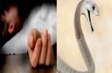 ಹಾವು ಕಚ್ಚಿ ಎಂಟು ವರ್ಷದ ಬಾಲಕಿ ಸಾವು..!!