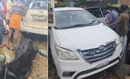 ಬೆಳ್ತಂಗಡಿ: ಗೋ ಸಾಗಾಟ ಮಾಡುತ್ತಿದ್ದ ಕಾರು ಢಿಕ್ಕಿ- ಸಂಚಾರ ಅಸ್ತವ್ಯಸ್ತ