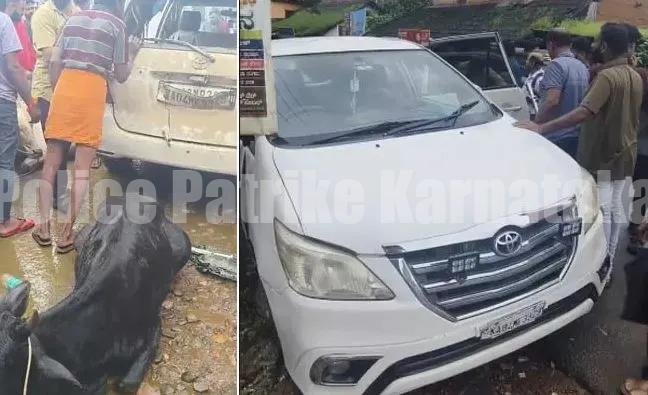 ಬೆಳ್ತಂಗಡಿ: ಗೋ ಸಾಗಾಟ ಮಾಡುತ್ತಿದ್ದ ಕಾರು ಢಿಕ್ಕಿ- ಸಂಚಾರ ಅಸ್ತವ್ಯಸ್ತ