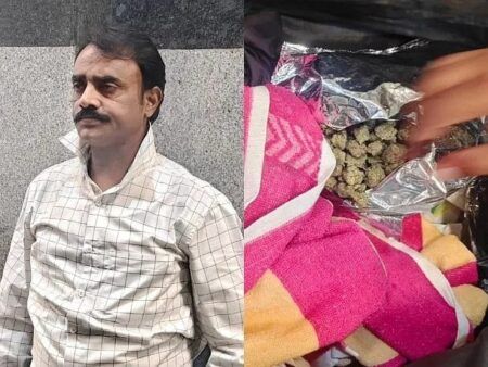 ಮಂಗಳೂರು: ಹೈಡ್ರೋಫೋನಿಕ್ ಗಾಂಜಾ ಸಾಗಾಟ- ಆರೋಪಿಯ ಬಂಧನ