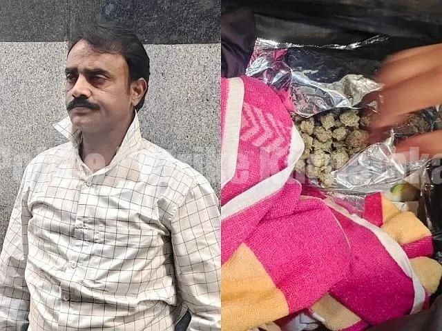 ಮಂಗಳೂರು: ಹೈಡ್ರೋಫೋನಿಕ್ ಗಾಂಜಾ ಸಾಗಾಟ- ಆರೋಪಿಯ ಬಂಧನ