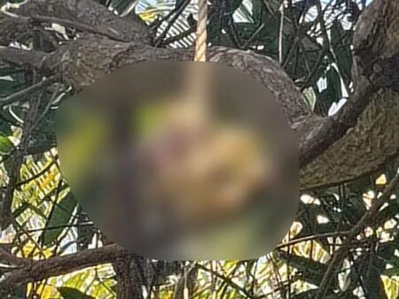 ಉಳ್ಳಾಲ: ಮರದ ಕೊಂಬೆಗೆ ನೇಣು ಬಿಗಿದ ಸ್ಥಿತಿಯಲ್ಲಿ ಮಾನವನ ಅಸ್ಥಿಪಂಜರ ಪತ್ತೆ