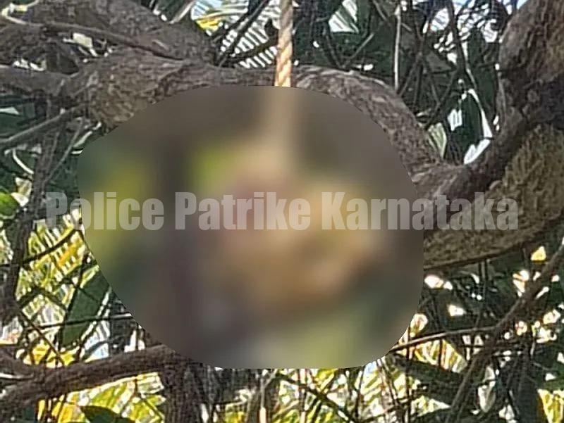 ಉಳ್ಳಾಲ: ಮರದ ಕೊಂಬೆಗೆ ನೇಣು ಬಿಗಿದ ಸ್ಥಿತಿಯಲ್ಲಿ ಮಾನವನ ಅಸ್ಥಿಪಂಜರ ಪತ್ತೆ