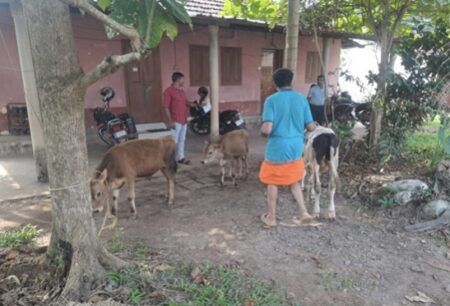ಆಕ್ರಮ ಗೋಸಾಗಾಟ..! ವಾಹನ ಬಿಟ್ಟು ಪರಾರಿಯಾದ ಗೋಕಳ್ಳರು