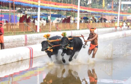 ಅದ್ದೂರಿಯಾಗಿ ನಡೆದ ಮಂಗಳೂರು ಕಂಬಳ : ಇಲ್ಲಿದೆ ಫಲಿತಾಂಶ