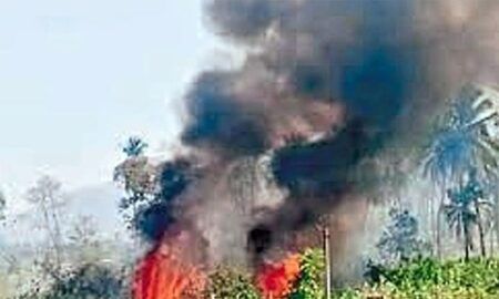 ಬಂಟ್ವಾಳ: ಕೆಂತಲೆ ಗುಡ್ಡದಲ್ಲಿ ಆಕಸ್ಮಿಕ ಬೆಂಕಿ; ಗಿಡ-ಮರಗಳು ಸುಟ್ಟು ಭಸ್ಮ