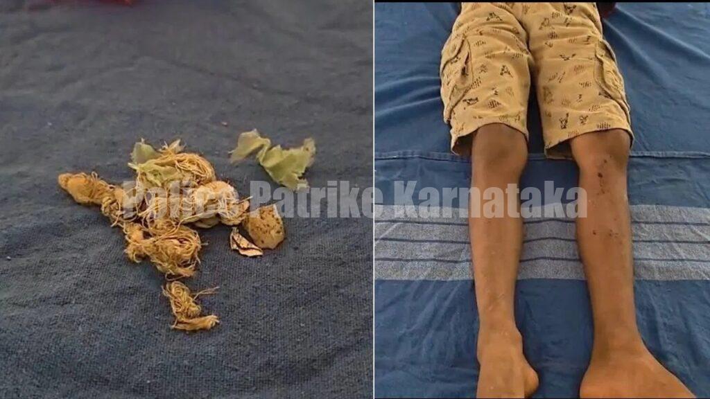 ಬೆಳ್ತಂಗಡಿ: ಬಾಲ್ ಎಂದು ಬಾಂಬ್ನಿಂದ ಬೌಲಿಂಗ್- ಬ್ಯಾಟ್ನಿಂದ ಹೊಡೆದಾಗ ಬ್ಲಾಸ್ಟ್