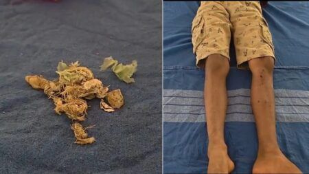 ಬೆಳ್ತಂಗಡಿ: ಬಾಲ್ ಎಂದು ಬಾಂಬ್ನಿಂದ ಬೌಲಿಂಗ್- ಬ್ಯಾಟ್ನಿಂದ ಹೊಡೆದಾಗ ಬ್ಲಾಸ್ಟ್