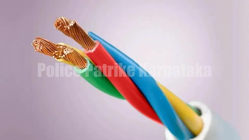 ಮಂಗಳೂರು: BSNL ತಾಮ್ರದ ಕೇಬಲ್ ಕಳವು ಪ್ರಕರಣ ಭೇದನೆ – ಮೂವರು ಆರೋಪಿಗಳ ಬಂಧನ, ₹10 ಲಕ್ಷ ನಗದು ವಶ