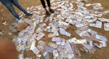 ಬಂಟ್ವಾಳ: ನದಿ ದಡದಲ್ಲಿ ಆಧಾರ್ ಕಾರ್ಡ್ ಪತ್ತೆ ಪ್ರಕರಣ – ಅಂಚೆ ಇಲಾಖೆ ವಿರುದ್ಧ ಕೇಸ್