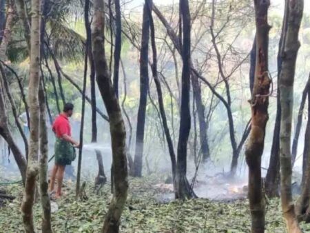 ವಿಟ್ಲ: ಅಕ್ರಮ ಸಿಡಿಮದ್ದು ಸ್ಫೋಟ ಪ್ರಕರಣ -ಆರೋಪಿ ಅರೆಸ್ಚ್