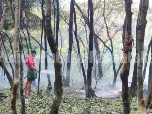 ವಿಟ್ಲ: ಅಕ್ರಮ ಸಿಡಿಮದ್ದು ಸ್ಫೋಟ ಪ್ರಕರಣ -ಆರೋಪಿ ಅರೆಸ್ಚ್