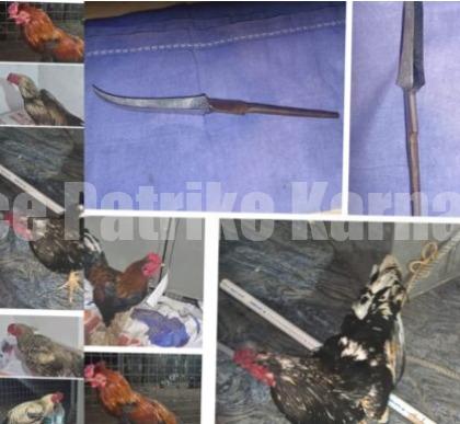 ಮೂಡುಬಿದಿರೆ: ಅಕ್ರಮ ಕೂಟ ಕಟ್ಟಿಕೊಂಡು ಕೋಳಿ ಅಂಕ ನಡೆಸುತ್ತಿದ್ದ ಅರೋಪಿಗಳ ಬಂಧನ!