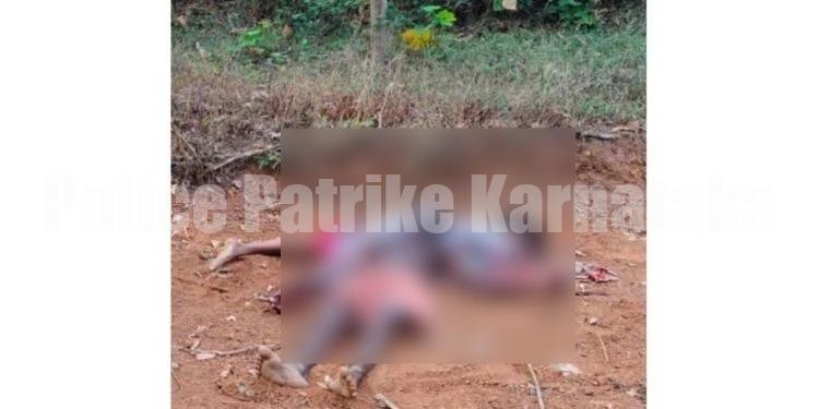 ಪುತ್ತೂರು: ಹೆಂಡತಿಯನ್ನು ಕೊಂದು ಗಂಡ ಆತ್ಮಹತ್ಯೆಗೆ ಯತ್ನ..!!