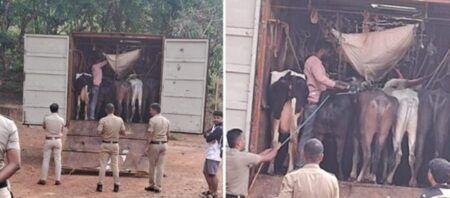 ಕಡಬ: ಅಕ್ರಮ ಜಾನುವಾರು ಸಾಗಾಟ ಪತ್ತೆ: 20 ಜಾನುವಾರುಗಳ ರಕ್ಷಣೆ, ಮೂವರ ವಿರುದ್ಧ ಪ್ರಕರಣ ದಾಖಲು