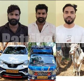 ಉಡುಪಿ: ಅಕ್ರಮ ಜಾನುವಾರು ಸಾಗಾಟ- ಮೂವರು ಆರೋಪಿಗಳ ಬಂಧನ!!