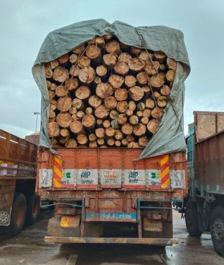 ಮರ ಕಡಿದು ಹಣ ಕೊಡದೆ ಎಸ್ಕೇಪ್: ಪಡುಬಿದ್ರೆ ಟೋಲ್ಗೇಟ್ನಲ್ಲಿ ಲಾರಿ ಅಡ್ಡಗಟ್ಟಿದ ಪೊಲೀಸರು