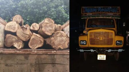 ಪುತ್ತೂರು: ಅಕ್ರಮ ಮರ ಸಾಗಾಟ-ಲಾರಿ ಸಹಿತ ಆರೋಪಿ ವಶಕ್ಕೆ