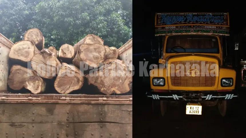 ಪುತ್ತೂರು: ಅಕ್ರಮ ಮರ ಸಾಗಾಟ-ಲಾರಿ ಸಹಿತ ಆರೋಪಿ ವಶಕ್ಕೆ