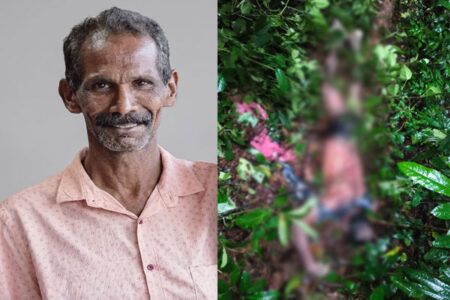 ಕೆಲಸ ಮುಗಿಸಿ ಮನೆಗೆ ಮರಳುವಾಗ ಕಾಡಾನೆ ದಾಳಿ; ವ್ಯಕ್ತಿಯ ದಾರುಣ ಅಂತ್ಯ