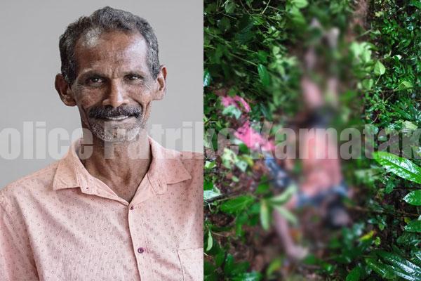 ಕೆಲಸ ಮುಗಿಸಿ ಮನೆಗೆ ಮರಳುವಾಗ ಕಾಡಾನೆ ದಾಳಿ; ವ್ಯಕ್ತಿಯ ದಾರುಣ ಅಂತ್ಯ
